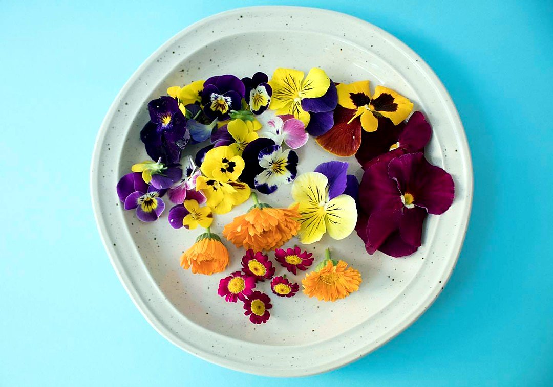 Plato de flores comestibles: pensamientos, caléndulas y margaritas