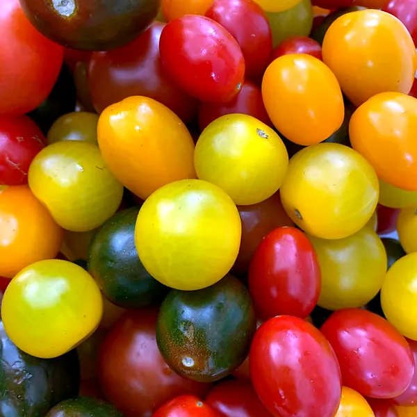Tomates cherry rojos, amarillos, naranjas y verde oscuro